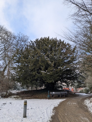 If commun &ndash; Watermael-Boitsfort, Rue du Loutrier, 69 &ndash;  06 Janvier 2026