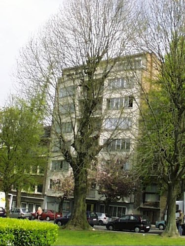 Frêne commun – Schaerbeek, Avenue Huart Hamoir et Square Riga, Avenue Huart Hamoir, 44 –  22 Avril 2002