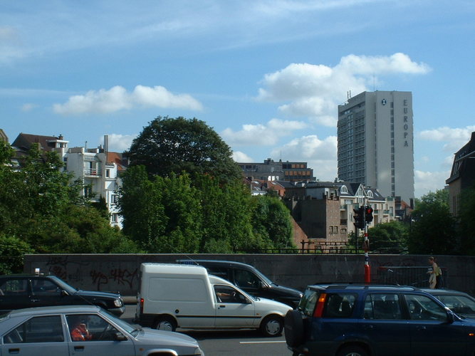 Erable sycomore – Bruxelles, Rue de Toulouse, 13 –  27 Mai 2002