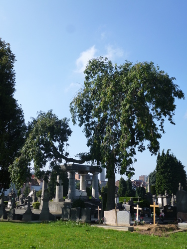 Treures – Schaarbeek, Begraafplaats van Sint-Joost-ten-Node, Henri Choméstraat, 9 –  09 September 2015