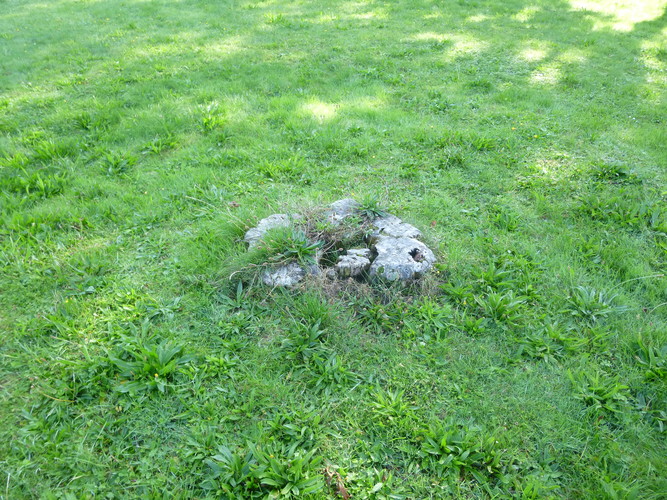 Venijnboom – Schaarbeek, Begraafplaats van Sint-Joost-ten-Node, Henri Choméstraat, 9 –  09 September 2015