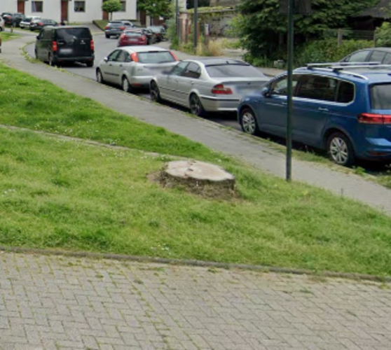 Cèdre bleu de l'Atlas &ndash; Berchem-Sainte-Agathe, Rue de Termonde &ndash;  06 Juin 2023