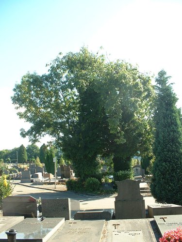 Treures – Elsene, Begraafplaats van Elsene, Hogeschoollaan –  31 Juli 2003