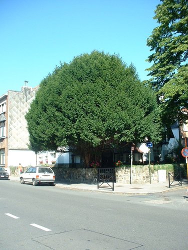 If commun – Uccle, Rue Edith Cavell, 148 –  31 Août 2005