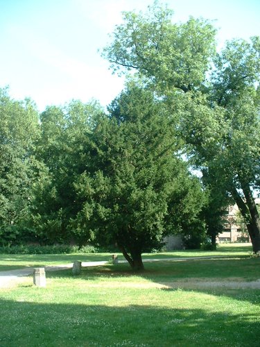 If commun – Forest, Abbaye de Forest, parc –  12 Juillet 2006