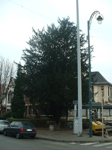 If commun – Schaerbeek, Boulevard Général Wahis, 55 –  02 Février 2007