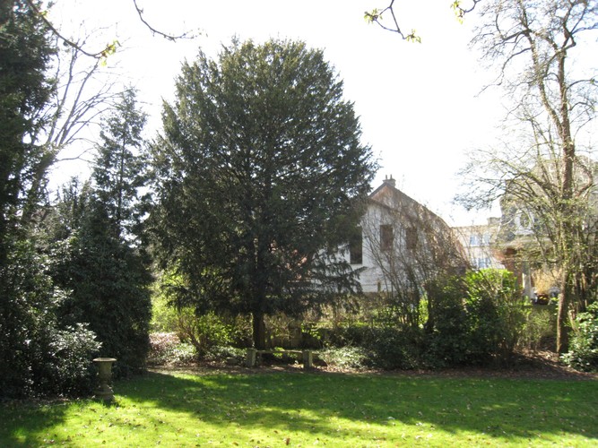 Venijnboom – St.- Lambrechts - Woluwe, Marie-Josélaan, 127 –  26 Maart 2012