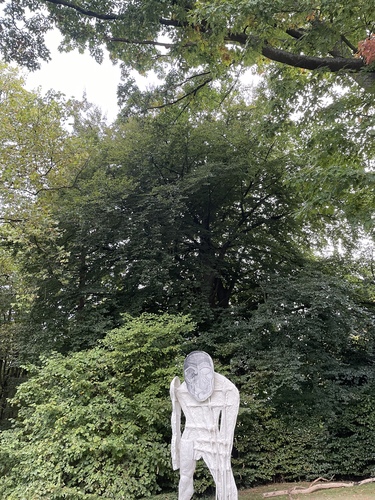 Hêtre pourpre – Uccle, Avenue Fond'Roy, 77 –  30 Septembre 2025