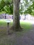 Erable sycomore – Etterbeek, Jardin Jean Félix Hap –  23 Mai 2014