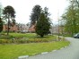 Apenboom, slangenden – Sint-Jans-Molenbeek, Ninoofsesteenweg, 1005 –  23 April 2012