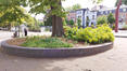 Tilleul argenté &ndash; Schaerbeek, Place de Jamblinne de Meux, Place de Jamblinne de Meux, face 42 &ndash;  07 Mai 2026
