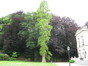 Oudergem Park van het Sint-Anna kasteel Oude Molenstraat, 103