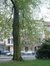 Tilleul argenté – Schaerbeek, Place des Bienfaiteurs, Place des Bienfaiteurs –  18 Avril 2002