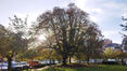 Schaerbeek <br>Avenue Huart Hamoir et Square Riga <br>Square François Riga