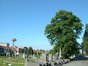  Zomerlinde – Schaarbeek, Begraafplaats van Sint-Joost-ten-Node, Henri Choméstraat, 9 –  30 Mei 2002