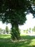 Venijnboom – Schaarbeek, Begraafplaats van Sint-Joost-ten-Node, Henri Choméstraat, 9 –  30 Mei 2002