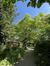Catalpa commun – Woluwé-Saint-Lambert, Avenue Oscar Jespers, 31 –  14 Mai 2025