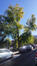 Saint-Gilles <br>Place Louis Morichar