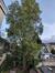 Schaerbeek <br>Rue Rubens, 47