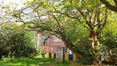 Laburnum x watereri &ndash; Brussel, Université Libre de Bruxelles - Solbosch, square Groupe G &ndash;  16 September 2026