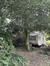 houx – Forest, Avenue Kersbeek, 162 –  06 Août 2025