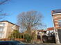 Chêne pédonculé – Anderlecht, Jardin de la chapelle Saint-Guidon, Avenue d'Itterbeek, 93 –  08 Mars 2024