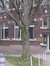 Rode beuk – Evere, Marnestraat, 89 –  07 April 2009