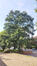 Jette <br>Avenue Joseph De Heyn, 102