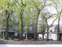 Ruwe iep – Brussel, Papenvest, 4 –  04 April 2002