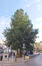 Bruxelles <br>Rue Pletinckx, 7