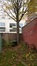 Erable sycomore – Forest, Avenue Victor Rousseau, 13 –  09 Novembre 2017