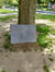 Fraxinus pennsylvanica – Schaarbeek, Ardense Jagersplein – Een boom die vrijheid en democratie symboliseert, geplant in 1970 bij het monument van het Ardeense Jagers' regiment. –  06 August 2024