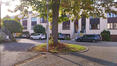 Kleinbladige linde &ndash; St.- Agatha - Berchem, Lindegaarde &ndash;  28 Oktober 2026