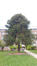 Bruxelles <br>Université Libre de Bruxelles - Solbosch